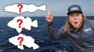 48 Hours Finding The Best Meal In The Ocean (3 Species Catch & Cook)