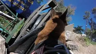 BUSQUEDA EN COLAPSADAS - K9 - GOPRO - LUPO PRIMERA PERSONA - CANES - TRAINING - ACECC - ARGENTINA