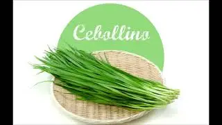 Hierbas aromáticas para cultivar en agua todo el año.