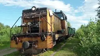 Кудемская УЖД в Северодвинске. Поезд и две "пионерки"