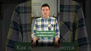 Как проходит обработка кофе 