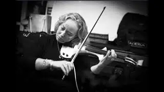Demo of Electric Violin & Pedal Board, Semi Acoustic and Acoustic Violin sounds