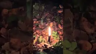 Чистка на День Всех Святых и Хеллоун!!! Первая часть!!!