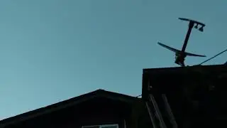 Bats at our house!