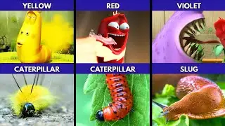 Real-life Larva cartoon character.
