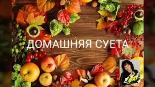 Фуксия. Посадка укорененных черенков и формирование.