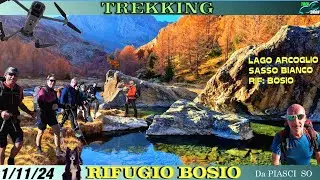 LARICI INFIAMMATI al RIFUGIO BOSIO
