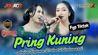 PRING KUNING ( VERSI COKEK SRAGENAN ) ANISA RAHMA FT INDRI BALUWARTI || DEWARUCI MUSIC OFFICIAL LIVE