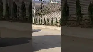 Экологическая акция по посадке саженцев прошла в селе Нижнее Казанище Буйнакского района.