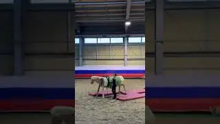 12 апреля 2020 г.