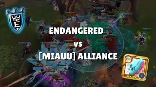 ENDANGERED vs [MIAUU] Alliance | Caller POV | Albion Online ZvZ
