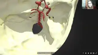 Blood Supply of the Brain -- All You Need To Know