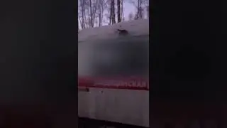 Макс Ващенко , Максиме успел освободить девочку , и у неё оторвалась ......