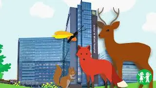 Adopt A Digital Woodland Animal
