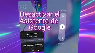Desactivar el asistente de Google