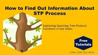 How to Find Out Information About STP Process