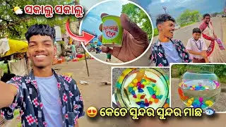 ସକାଲୁ ସକାଲୁ Koshli Chai ☕️ // Village Vlog // Sambalpuri Vlog // Kalahandia Vlog
