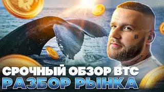 Срочный обзор Биткоина! Анализ рынка. Как торговать биткоин?
