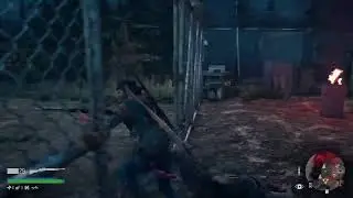Days gone