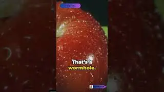 Unraveling Wormholes II Bridging the Gaps in Spacetime