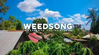 WEEDSONG @Aquelocco Podcast (Abril 2020)
