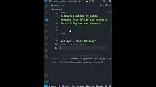 isspace Method in Python 