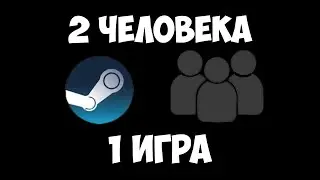 Как играть в одну и ту же игру с другом в семейной библиотеке стим, даже если она занята