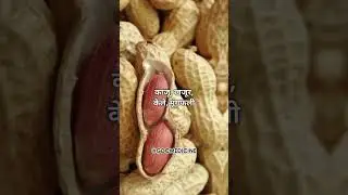 मूंगफली से वजन😱💪 #helthytips #shorts #facts #healthyfood #amazingfacts #healthcare #health