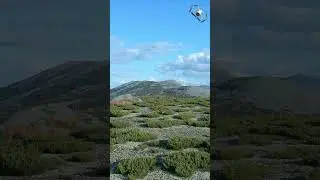 Якутия. Алданский район. осень 2023г.