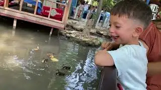 Турецкий завтрак на воде/Мерсин/ресторан Петунья/день рождения продолжается