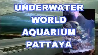 Underwater World Pattaya