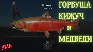 Русская рыбалка 4 (РР4) р. ЯМА ГОРБУША, КИЖУЧ ФАРМ