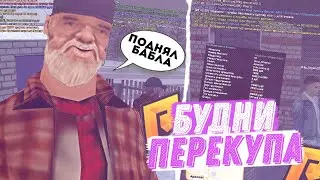 ЗАРАБОТОК НА РАДМИР РП ПОДНЯЛ 10КК ЗА 2 ДНЯ БУДНИ ПЕРЕКУПА КУПИЛ ТОП БИЗНЕС ЗА КОПЕЙКИ НА RADMIR RP!
