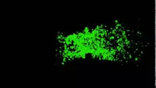 No Text Intro ,Intro Template No Text,No Text Intro Template