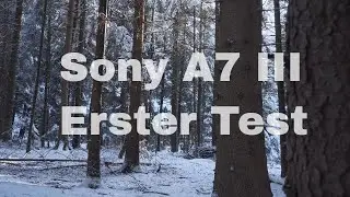 Erster Test mit der Sony A7 III 4K [Cinematic]