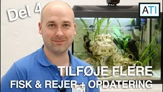 Tilføje flere fisk og rejer til Tetra 80 liters akvarie + opdatering (Tetra 80L del 4)