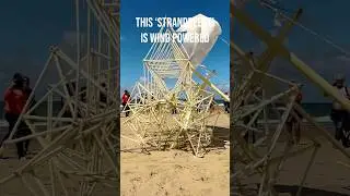 Strandbeest Powered by WIND on a Beach | Incredible Kinetic Sculpture!