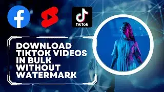 HOW TO DOWNLOAD BULK VIDEOS FROM TIKTOK WITHOUT WATERMARK FOR YOUR FACEBOOK REEL PAGES AND YT SHORTS