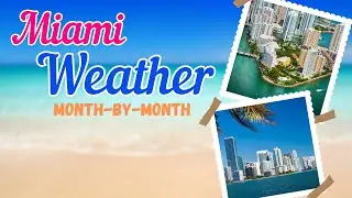 Month By Month Weather - Miami, Florida! 4K