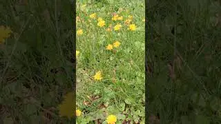 уходит лето 😔