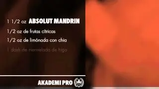 Absolut Akademi Isid