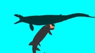 PDFC - Basilosaurus vs Xiphactinus