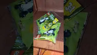 Got the Code! Legoland Castle hotel - Panda, Penguin, Whale 