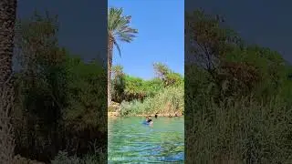 عين الجوسق قرب بيسان  أنظف عين رح تشوفها
