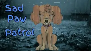 Sad Paw Patrol