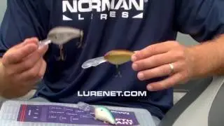 Norman DD22