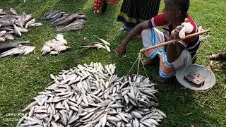 রাজশাহী পুলিশ কলোনীতে পুকুর থেকে উঠানো মাছ কিভাবে ডাকে বিক্রি করা হয়।