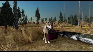 Rose's Backstory | Ep 1 | WolfQuest Anniversary Edition