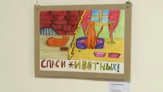 ВВГУ.  Выставка "Протяни лапку помощи"