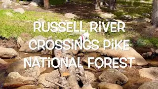 Jack Russell River Crossings Pike National Forest